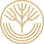 Haeresis | Digital Design Studio | Ivory Global Care Logo